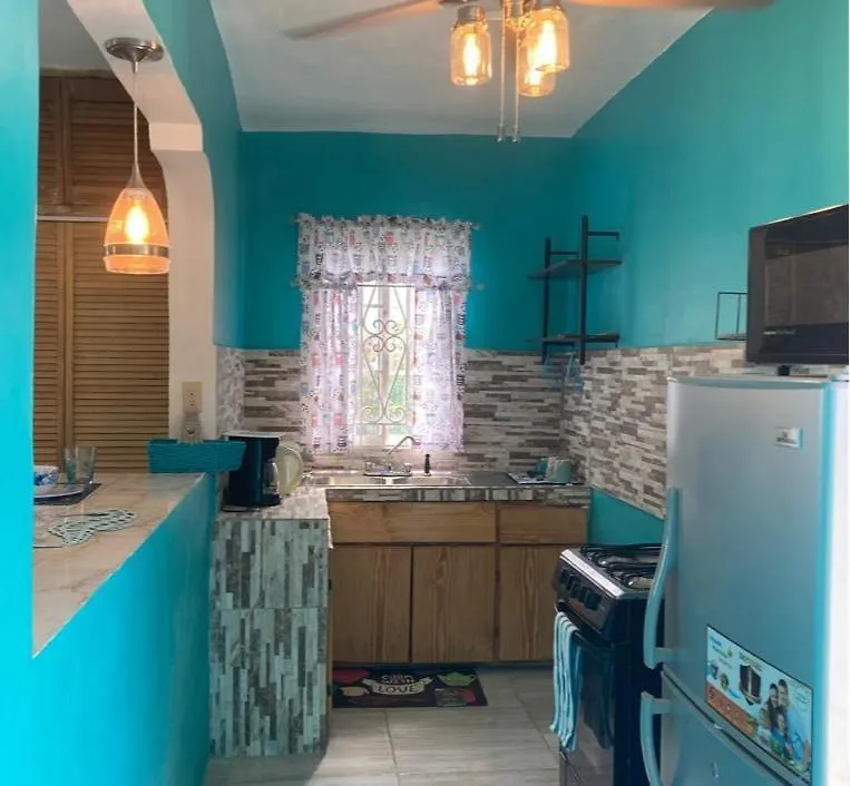 Yanceylargo Estate - Newly Built Modern 1 Bedroom Suite Villa Montego Bay