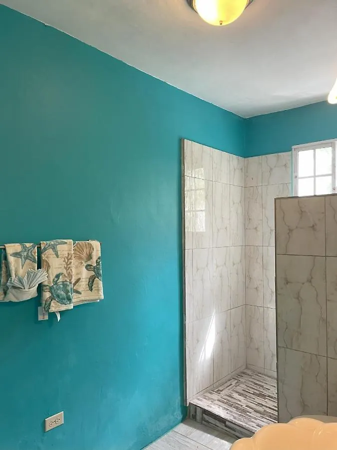 Yanceylargo Estate - Newly Built Modern 1 Bedroom Suite Villa Montego Bay