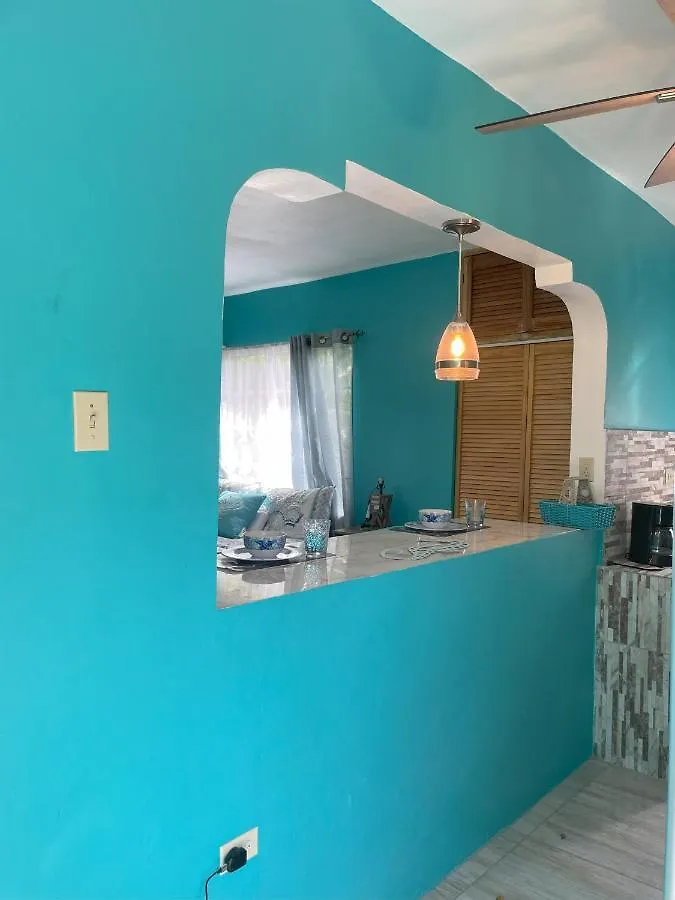 Yanceylargo Estate - Newly Built Modern 1 Bedroom Suite Villa Montego Bay 0*,